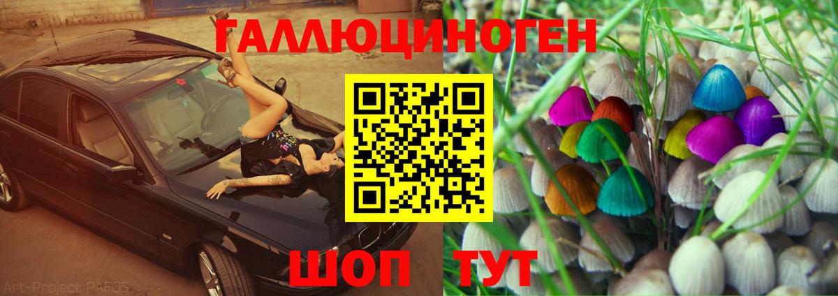 Псилоцибиновые грибы мицелий Скопин